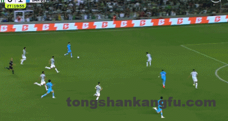 28838a5cg00t6qfg702bed000d2006ym