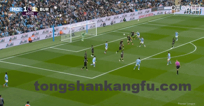 48bf29b0g00t7bky00278d000b4005sm