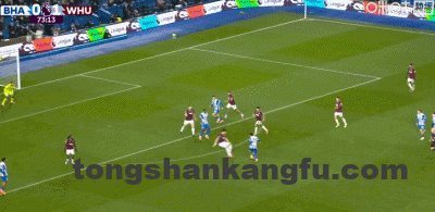 6f8f5361g00t6wpn50569d000b4005fg