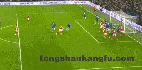 3f486ebbg00t8vkez039dd000cv006fm